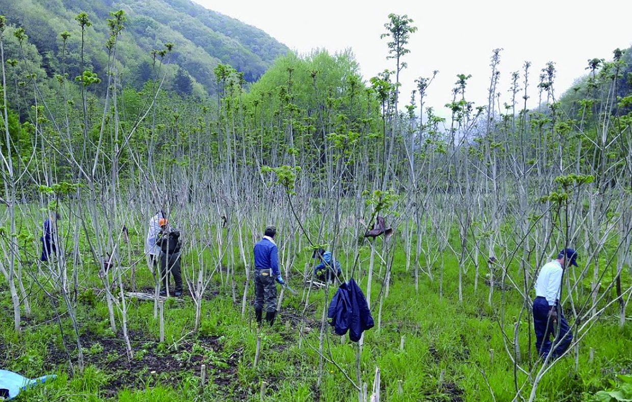 かごプロジェクト | りあすぱーく 《一般社団法人SAVE IWATE》